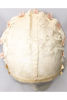 Picture of WIG NET -CREAM-